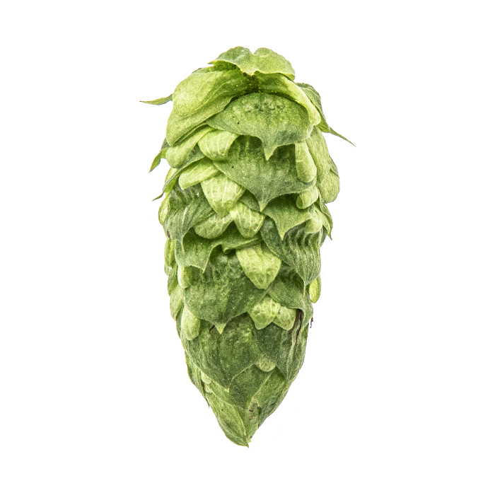 Simcoe® – hopsmaker