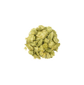 Columbus - Whole Hops Flower