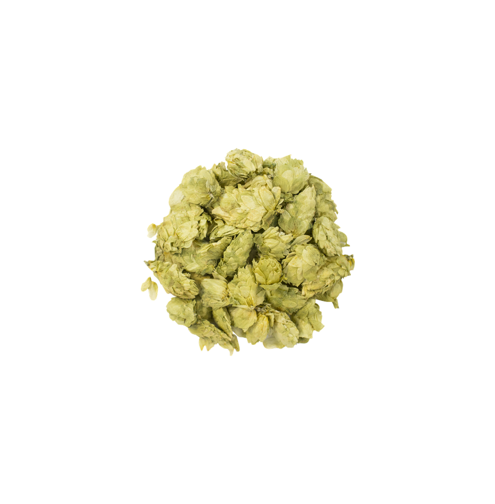 Columbus - Whole Hops Flower